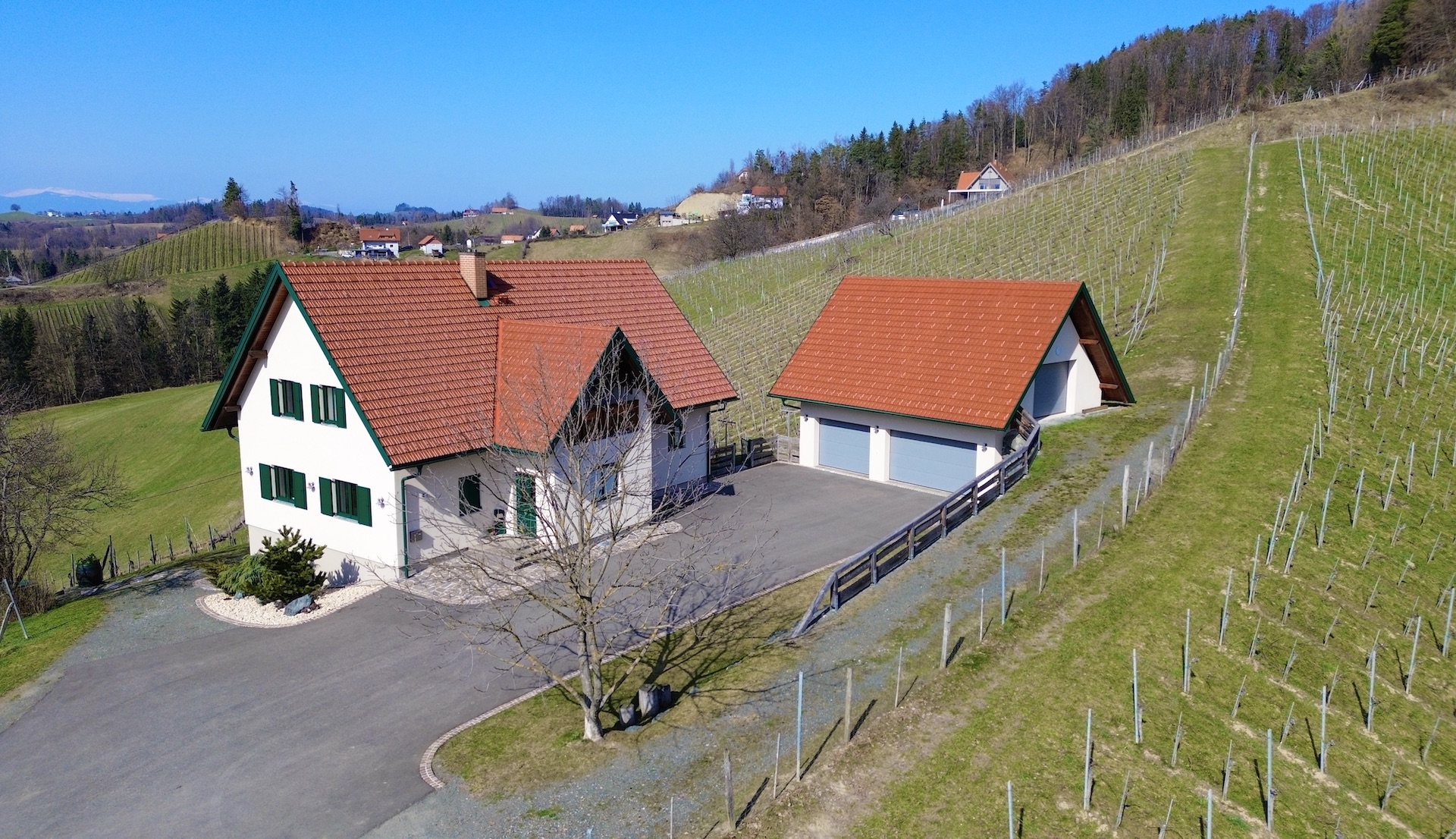 Wohnen in den Weinbergen